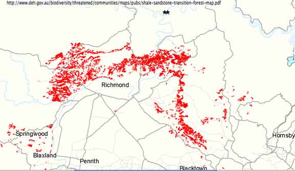 shale sandstone transition forest map